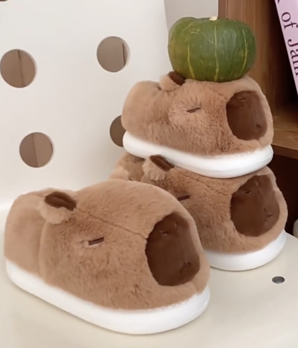 Amazon.com: YPNMR Cute Capybara Winter Slippers for Kids and